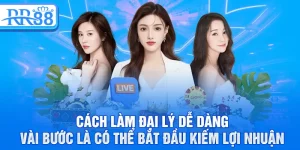 Hợp Tác Cùng RR88 - Làm Đại Lý, Nhận Hoa Hồng Hấp Dẫn Mỗi Ngày 4 Cách làm đại lý dễ dàng vài bước là có thể bắt đầu kiếm lợi nhuận